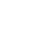 bola basket icon