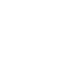 tenis icon